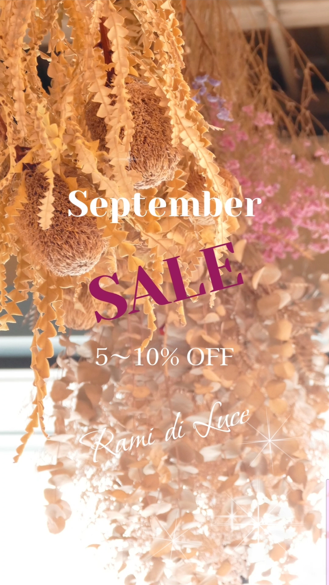 ▲September SALE ▼