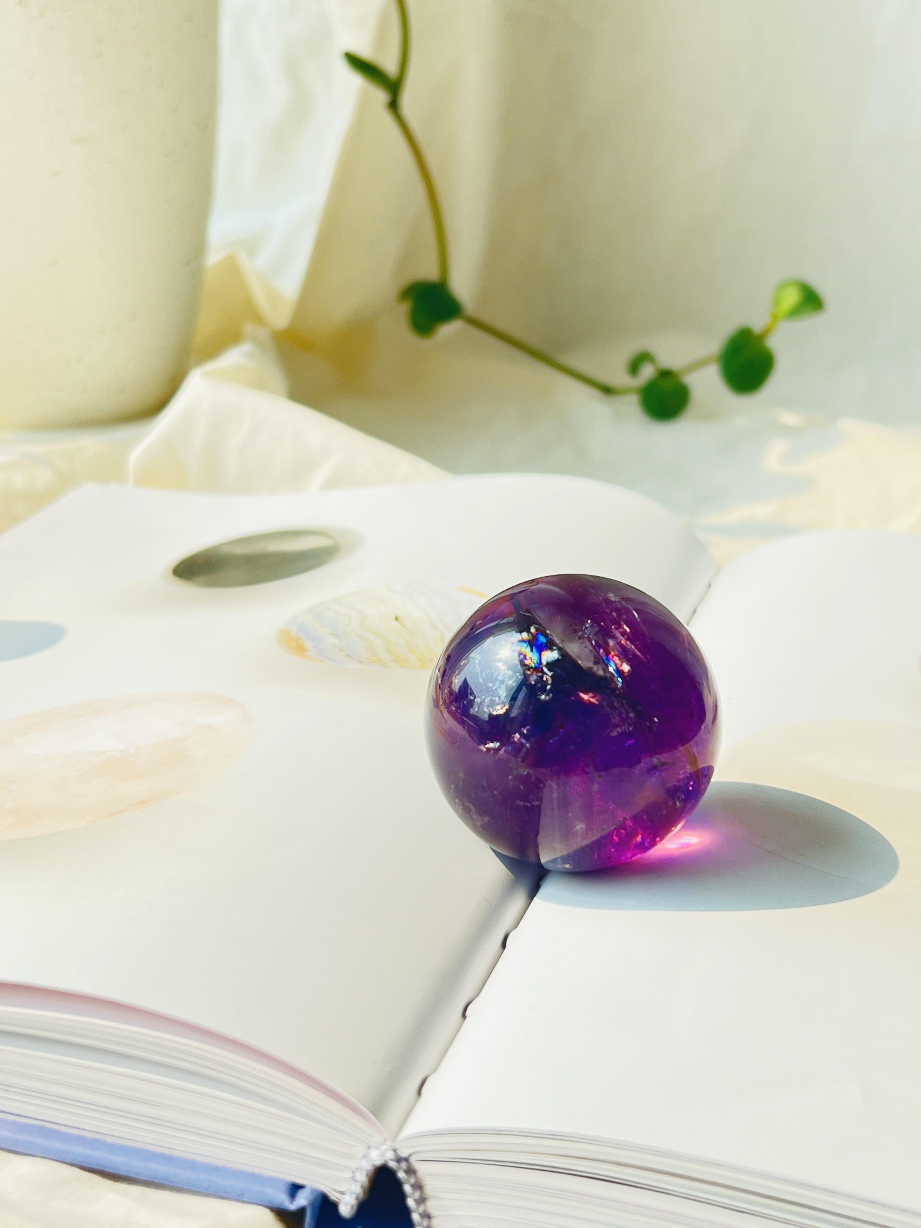 大切なお知らせ｜送料無料ラインと価格の見直しについて