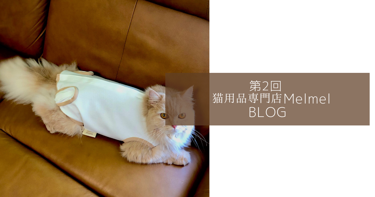 第2回　猫用品専門店Melmel BLOG