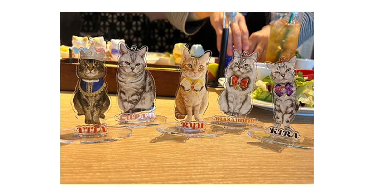 猫友様への特別な贈り物🎁オーダーメイドのアクリルスタンドをご紹介