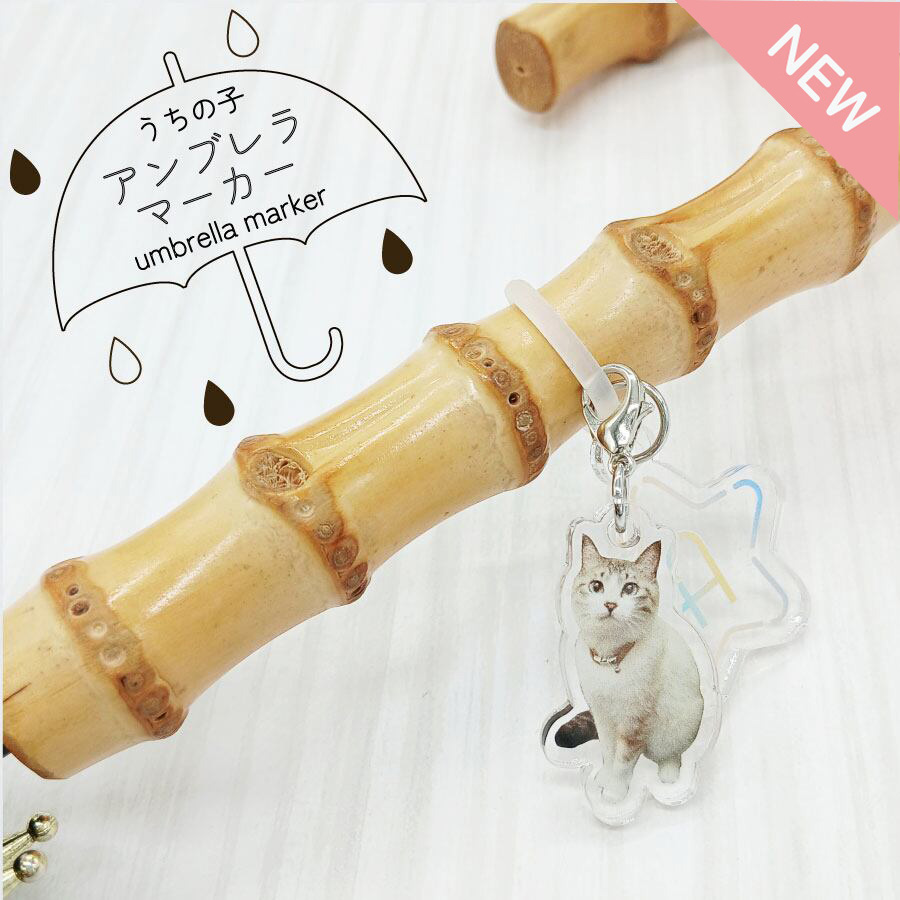 今人気！「アンブレラマーカー」は季節のおすすめアイテム🐌