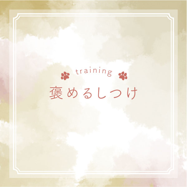 愛犬との絆が深まる「必要最低限の褒めるしつけ」