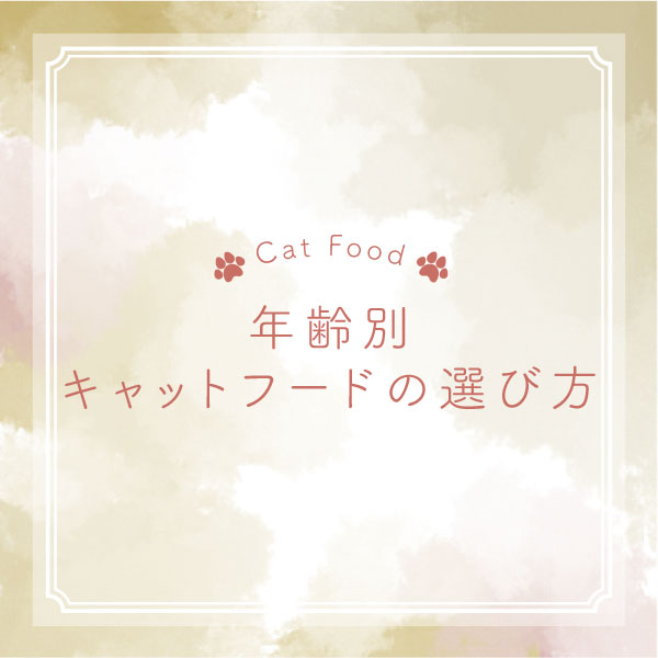 年齢別のキャットフード選び方！食べ飽き対策も紹介