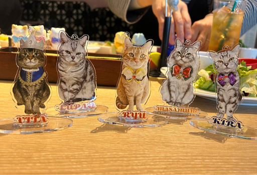 猫友様への特別な贈り物🎁オーダーメイドのアクリルスタンドをご紹介