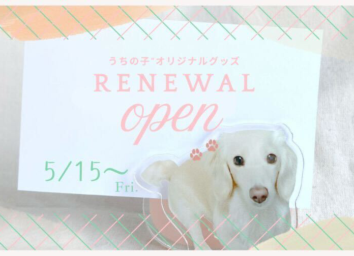 【本日OPEN】Ameuが新しく生まれ変わりました！