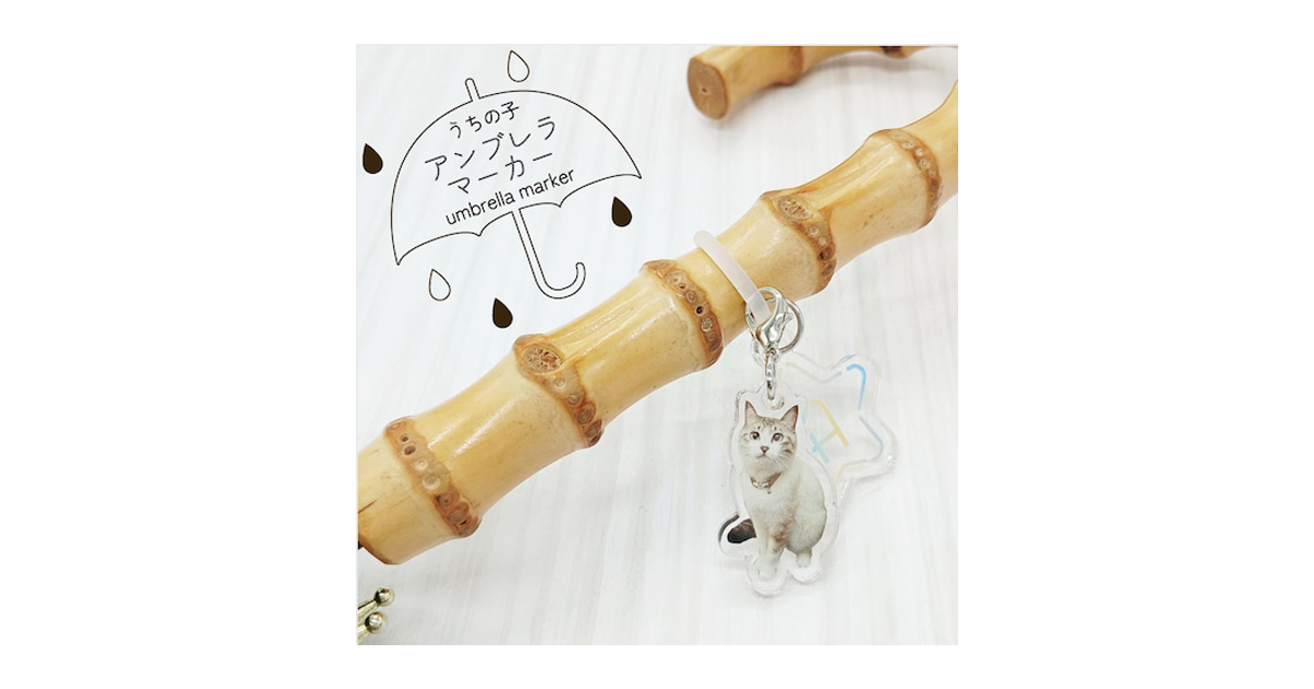 今人気！「アンブレラマーカー」は季節のおすすめアイテム🐌