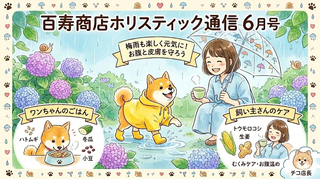 🐶ホリスティック通信6月号