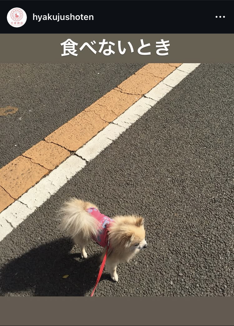 食べないとき