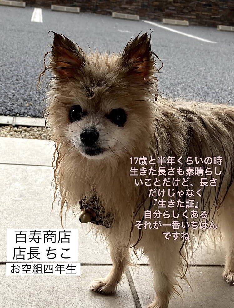 🌝🌾九月のおすすめ