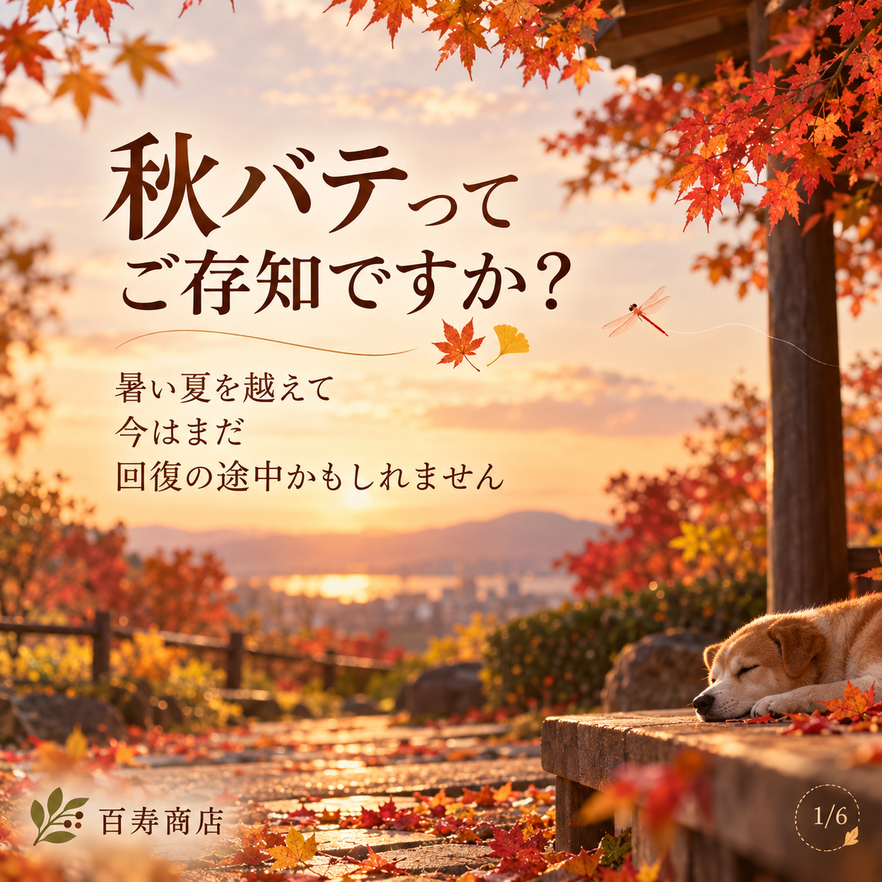 🍁秋バテ