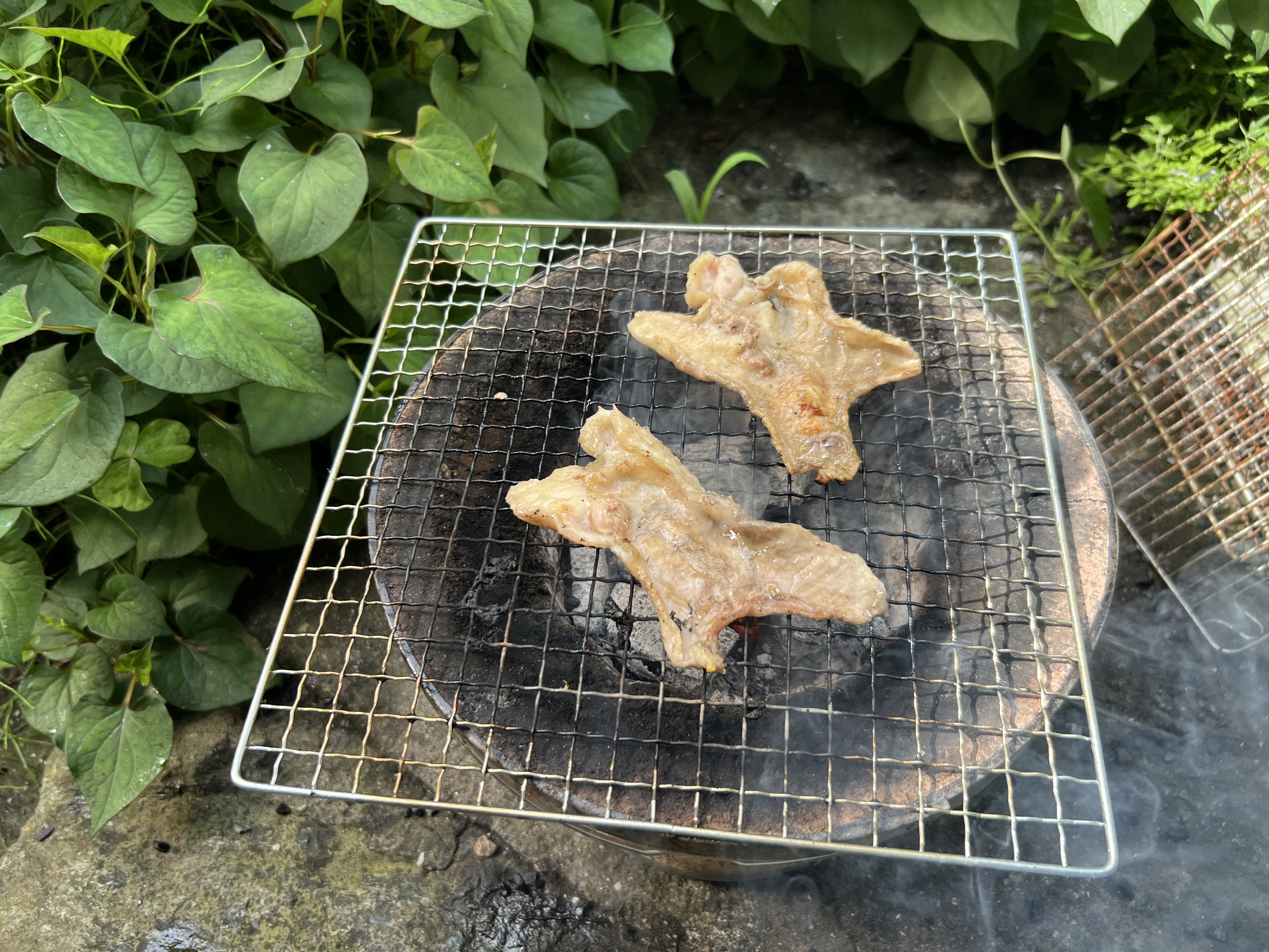 たまにはゆっくり