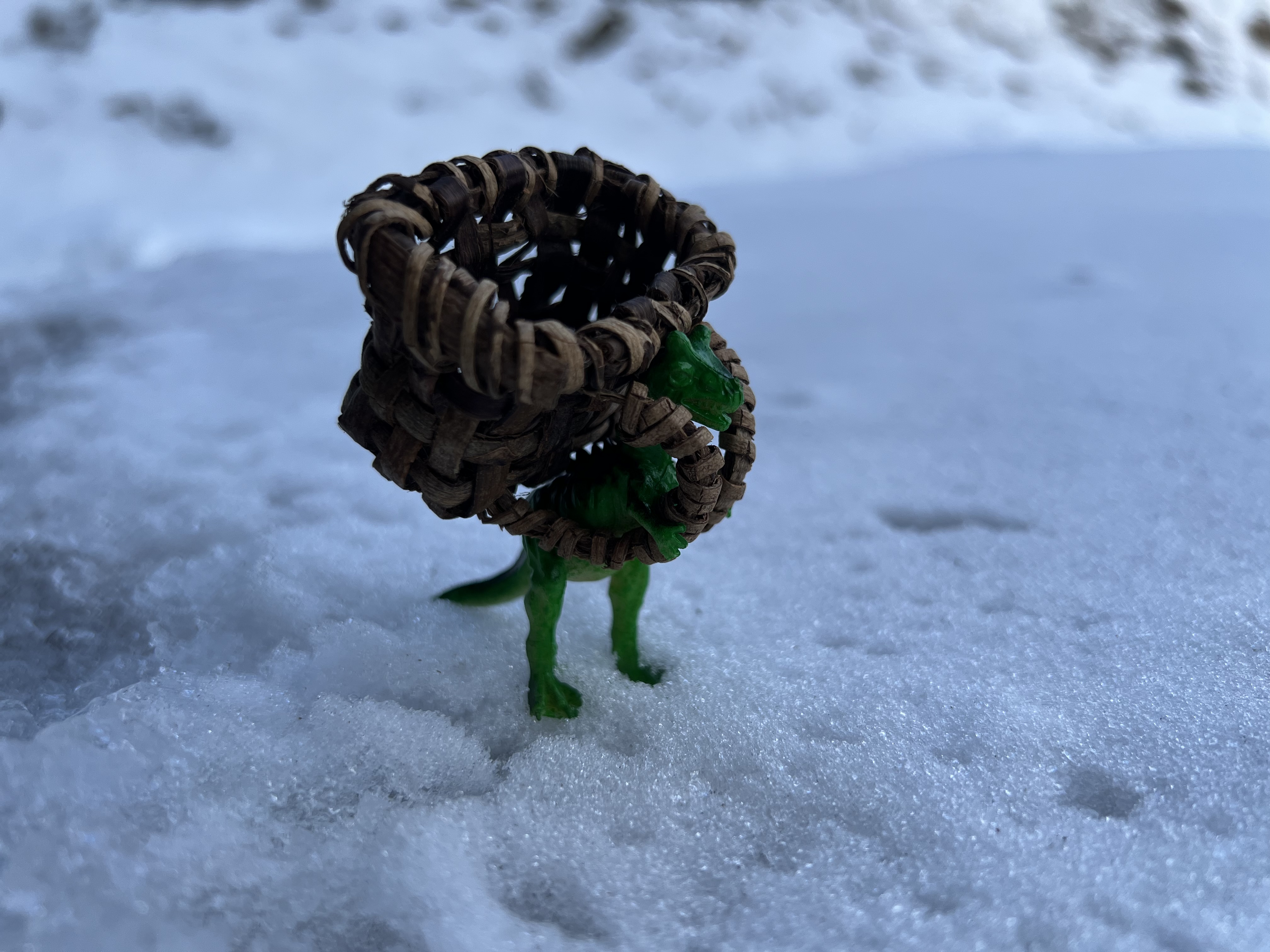 忘れた頃に大雪