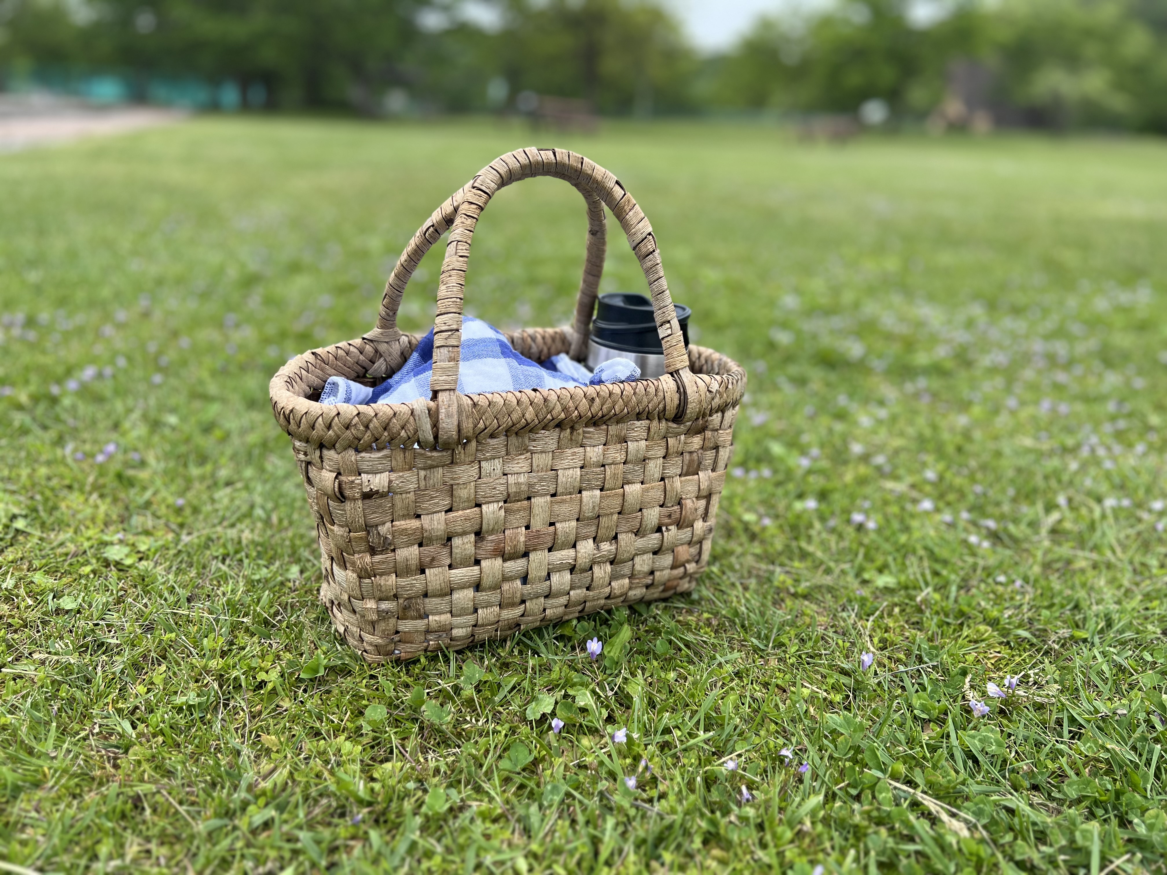 駆け込み5月日記