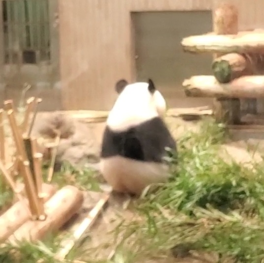 10/10(祝)は東京ハンドメイドマルシェ