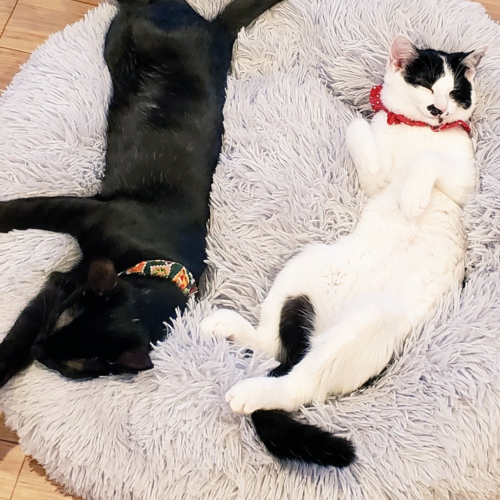 来年もよろしくお願いします。