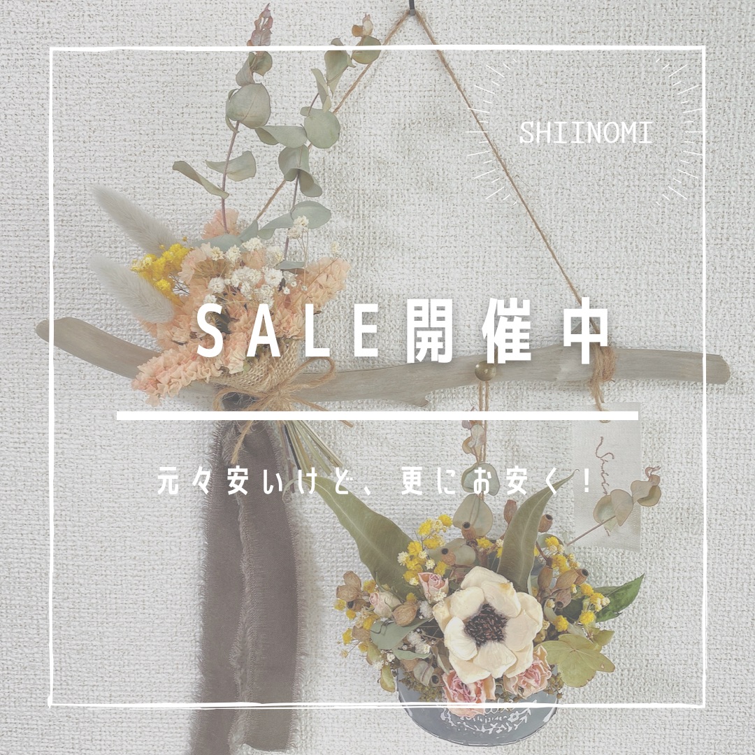 SALE品について