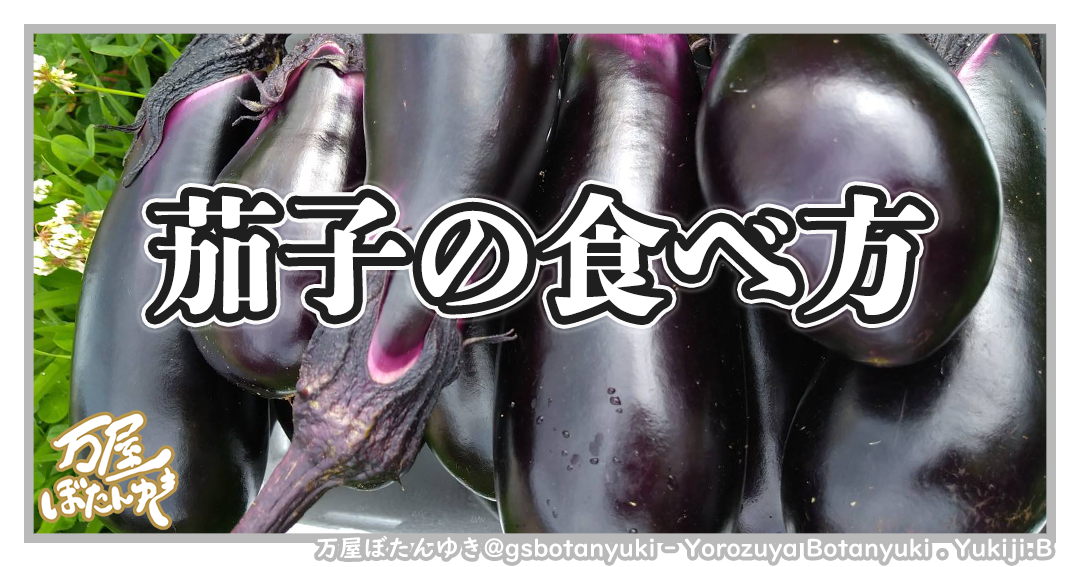 ＃22「茄子の食べ方」