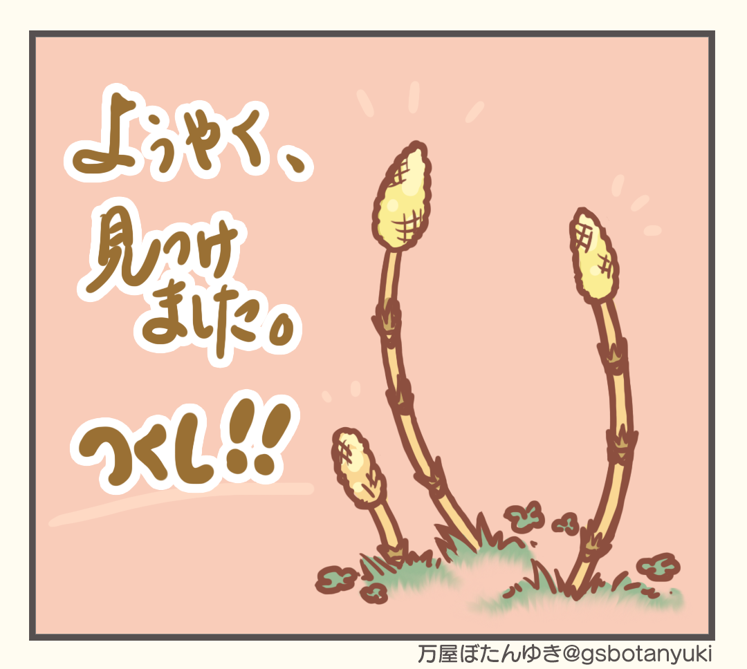 ＃5「あの子がひょっこり」