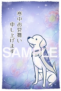 日本介助犬協会　寒中見舞いハガキ