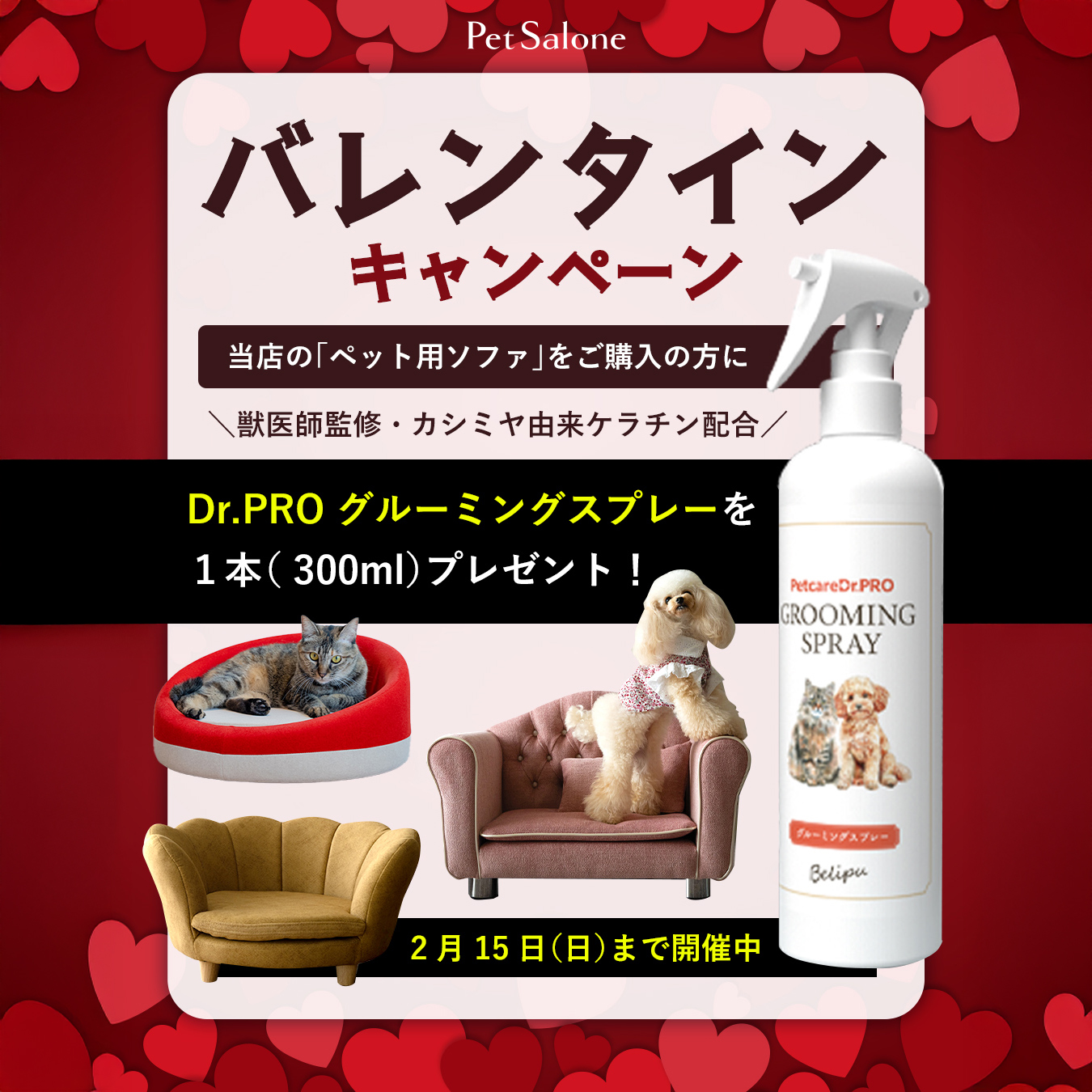 バレンタインキャンペーン開催