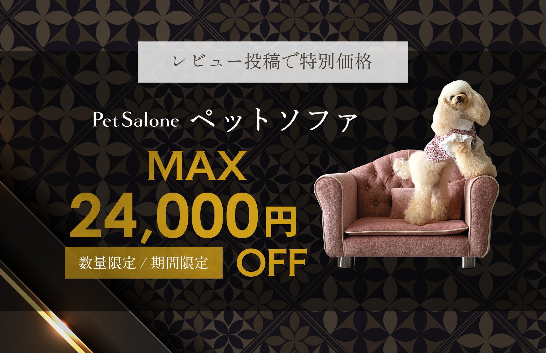 【レビューご協力キャンペーン｜数量限定開催中】