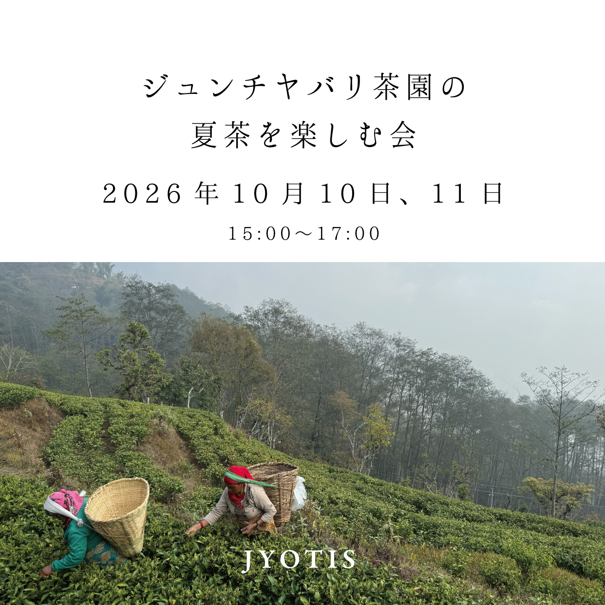 【お茶講座】ジュンチヤバリ茶園の夏茶を楽しむ会