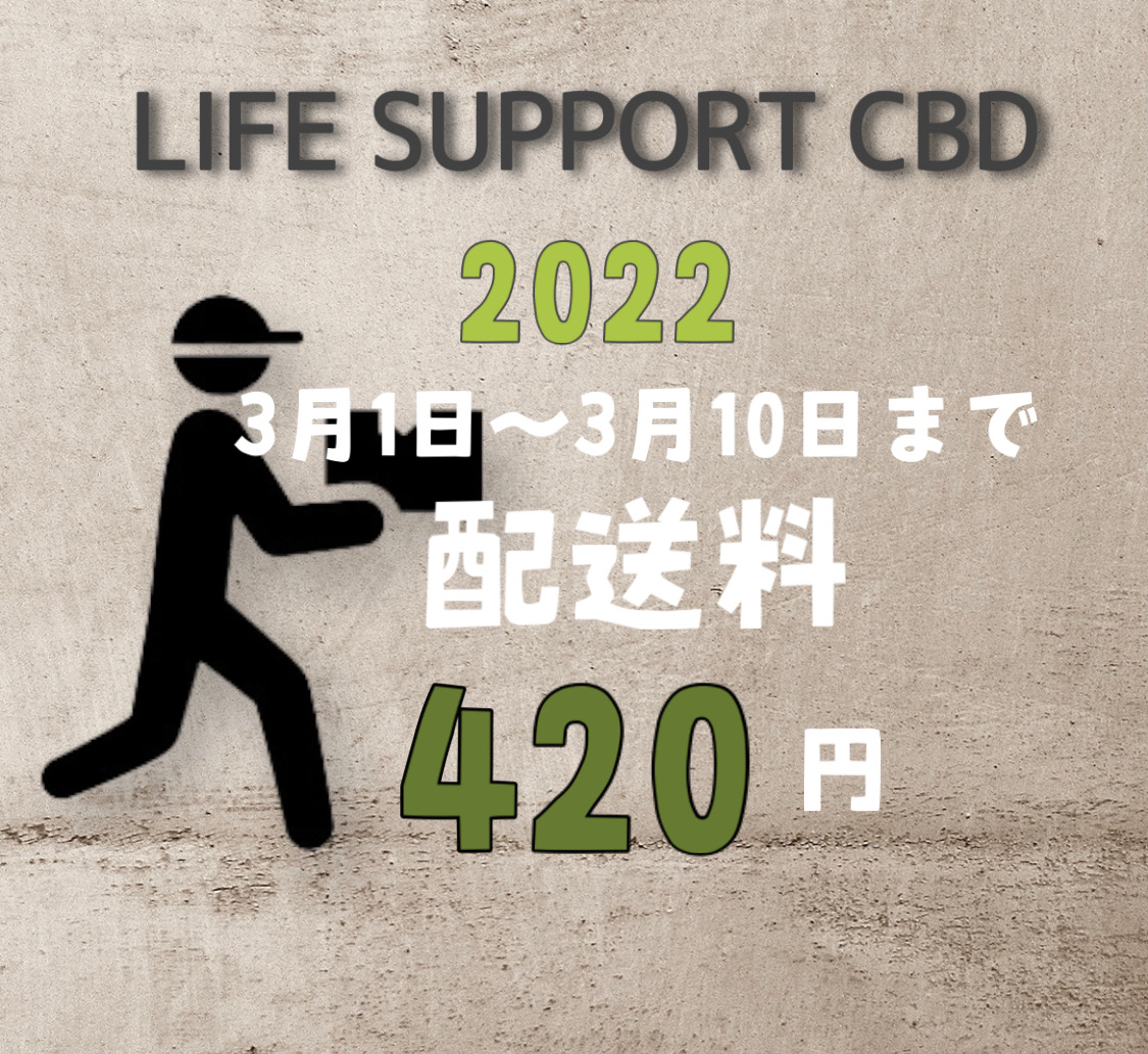お得なお知らせ👏