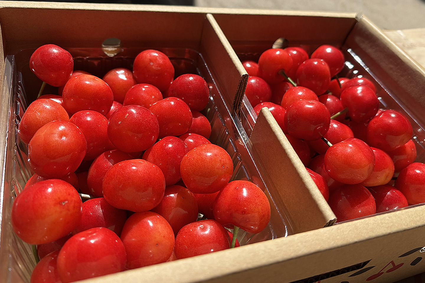 ふるさと納税に参加しています