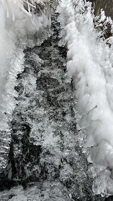 春まだ遠し