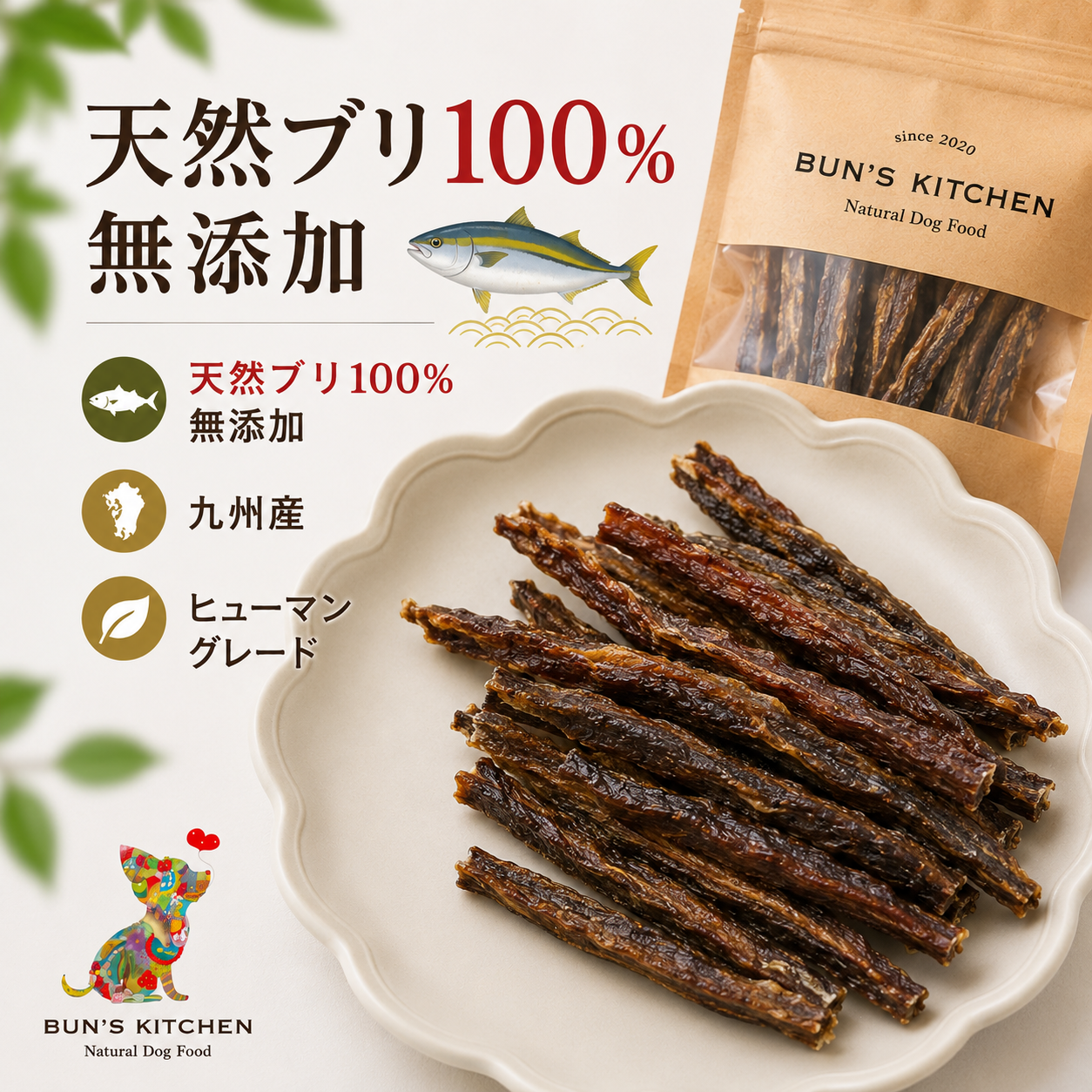 【シニア犬の食欲が落ちたらどうする？】毎日のごはんを見直すポイントとおすすめ食材