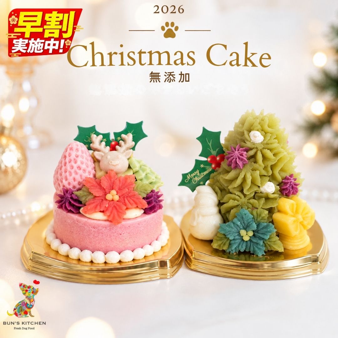 犬用クリスマスケーキの選び方｜愛犬と楽しむクリスマスの準備ガイド