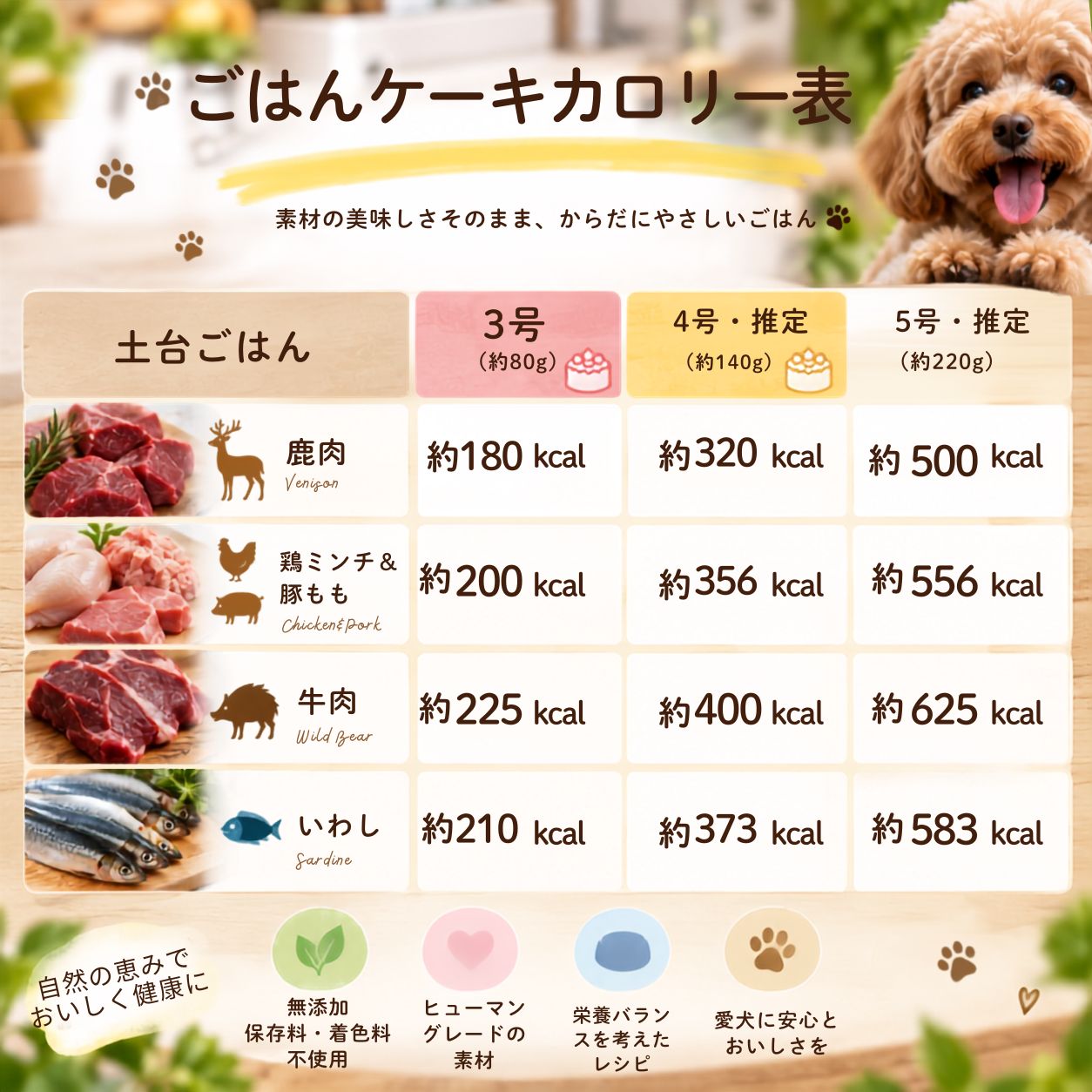 【犬の誕生日は何をする？】愛犬が喜ぶお祝いアイデアと人気の犬用誕生日ケーキ
