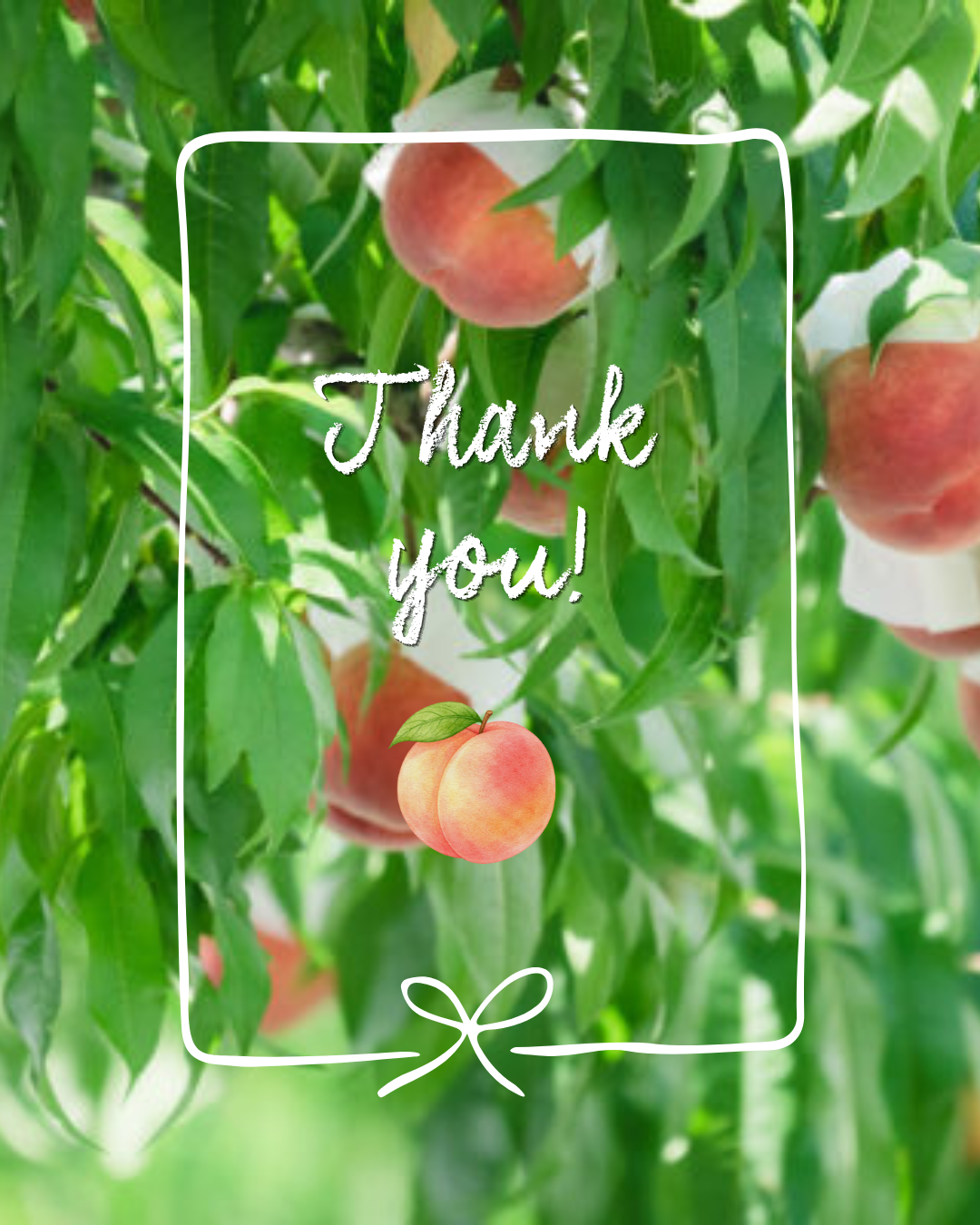｜Thank You ！｜