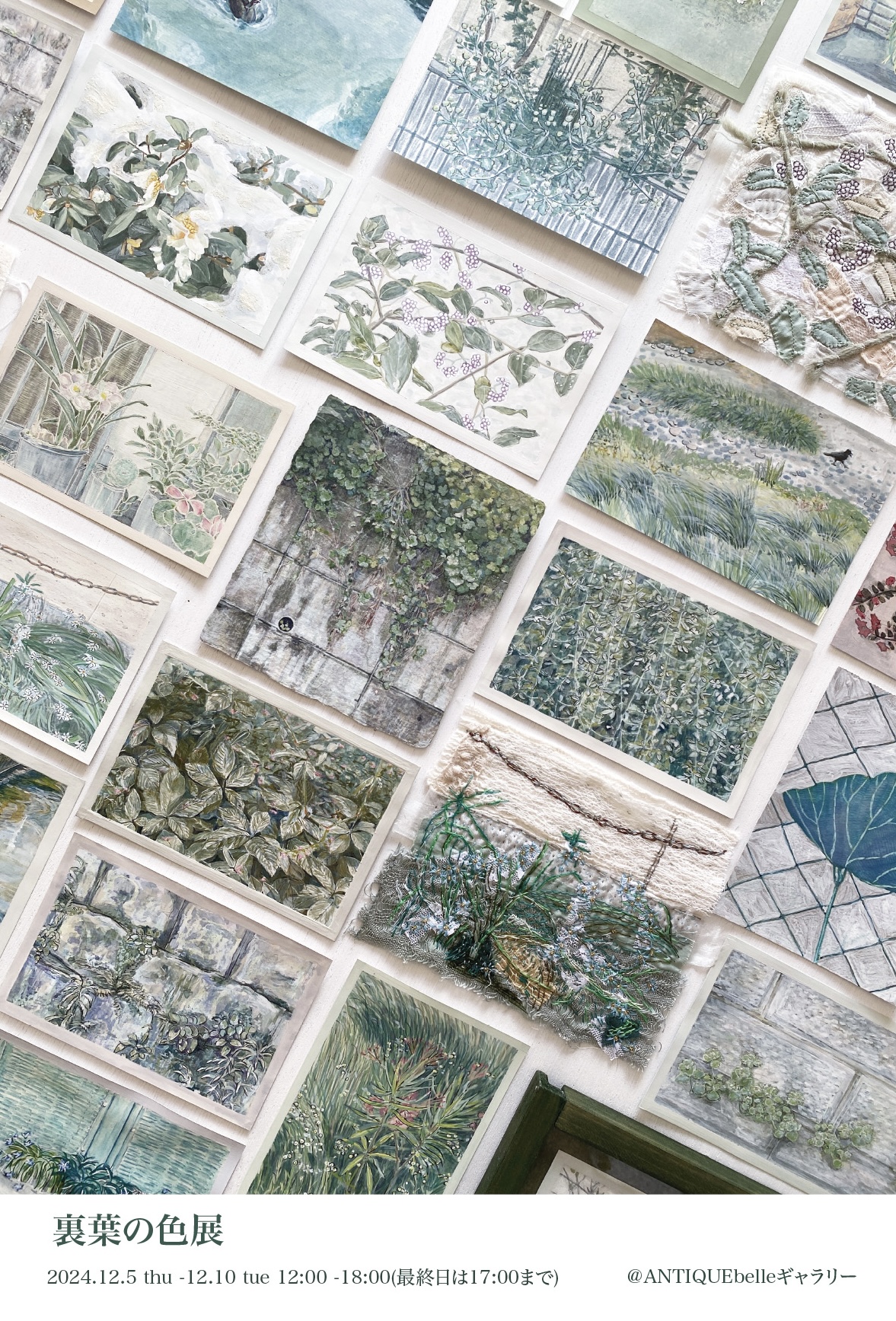 展示会のお知らせ🎨🌿