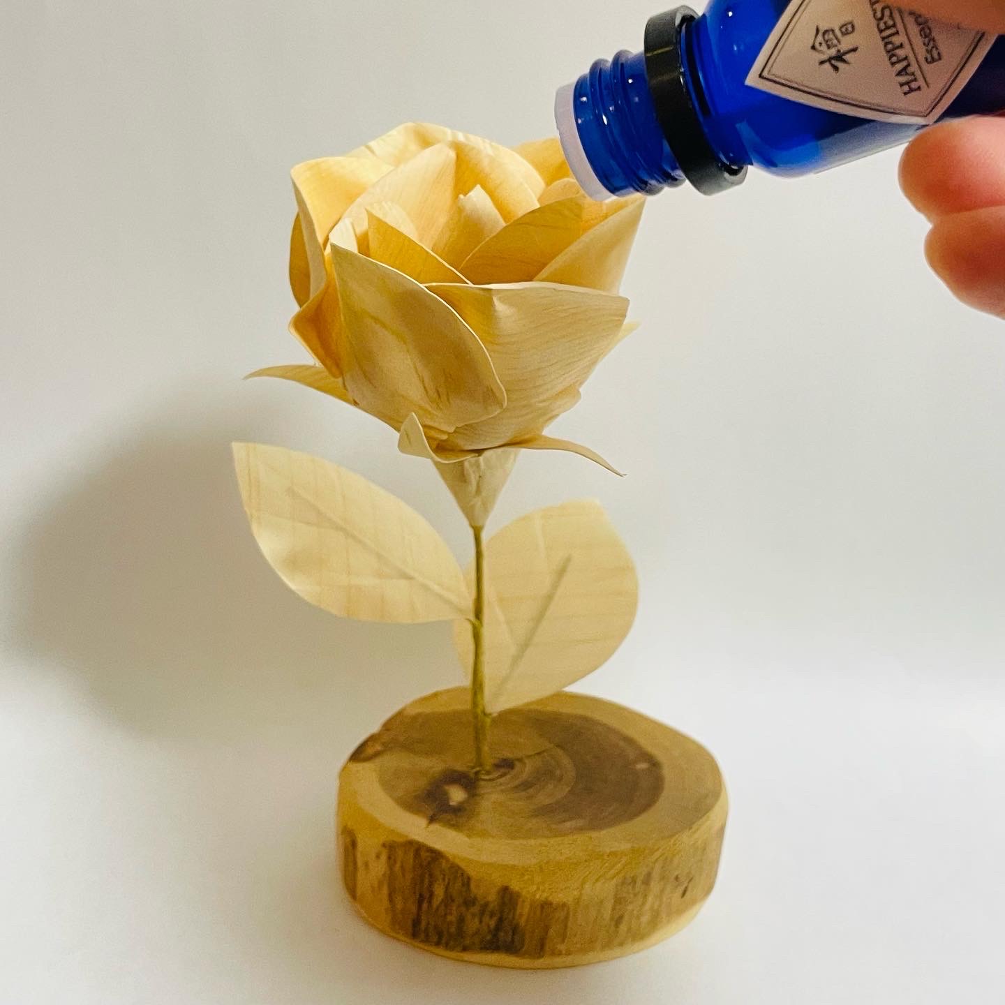 Blog エシカル新商品のご案内2022年12月12日