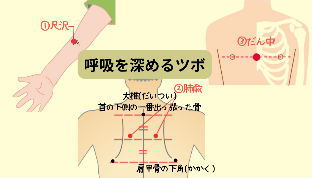 秋に大事な呼吸を深めるツボ３選