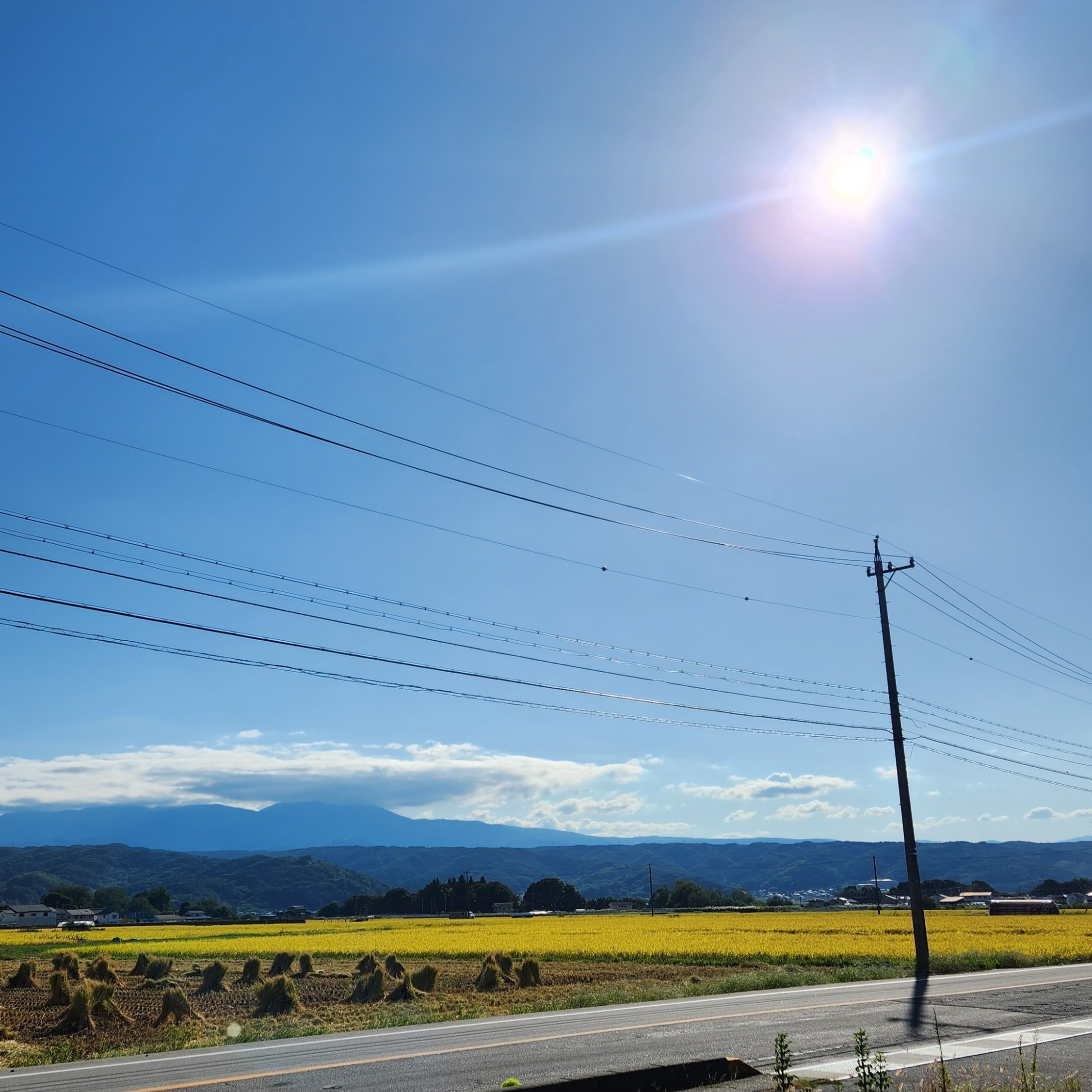 知っておきたい秋の養生最重要ポイント！！