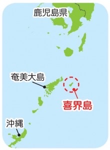 フォーユーの黒糖のご紹介