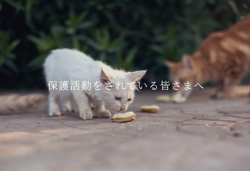 どうぶつ保護活動の支援・応援について＜個人・団体向け＞