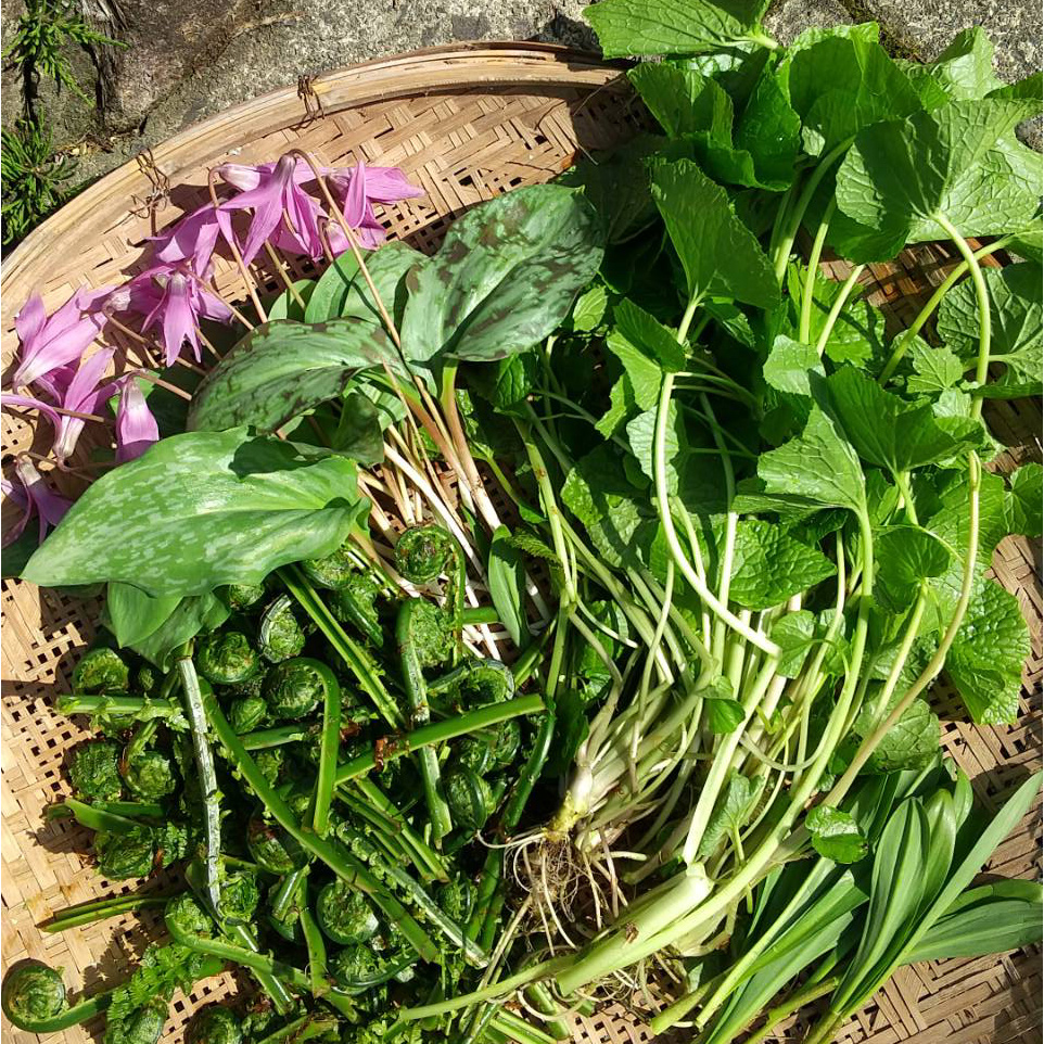 オープンから一週間