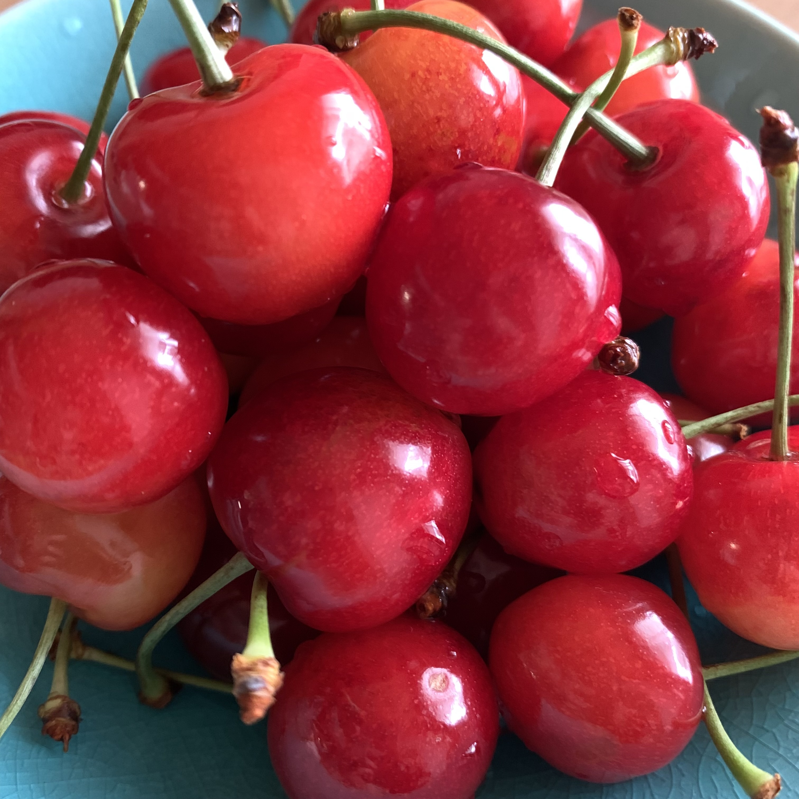 山形と言えば “さくらんぼ🍒”