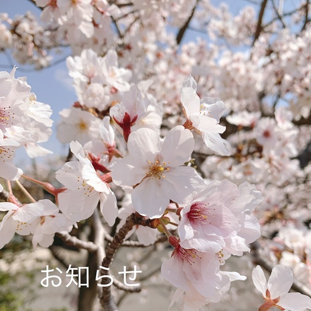 お知らせ