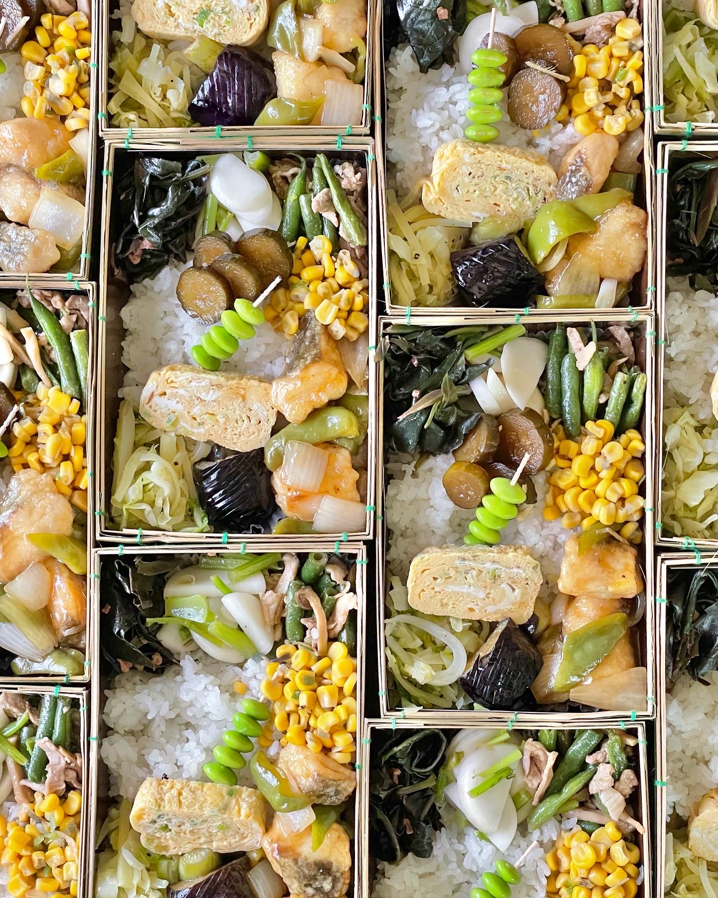 昨日(7/11㊋)のバルヤンナイクのお弁当