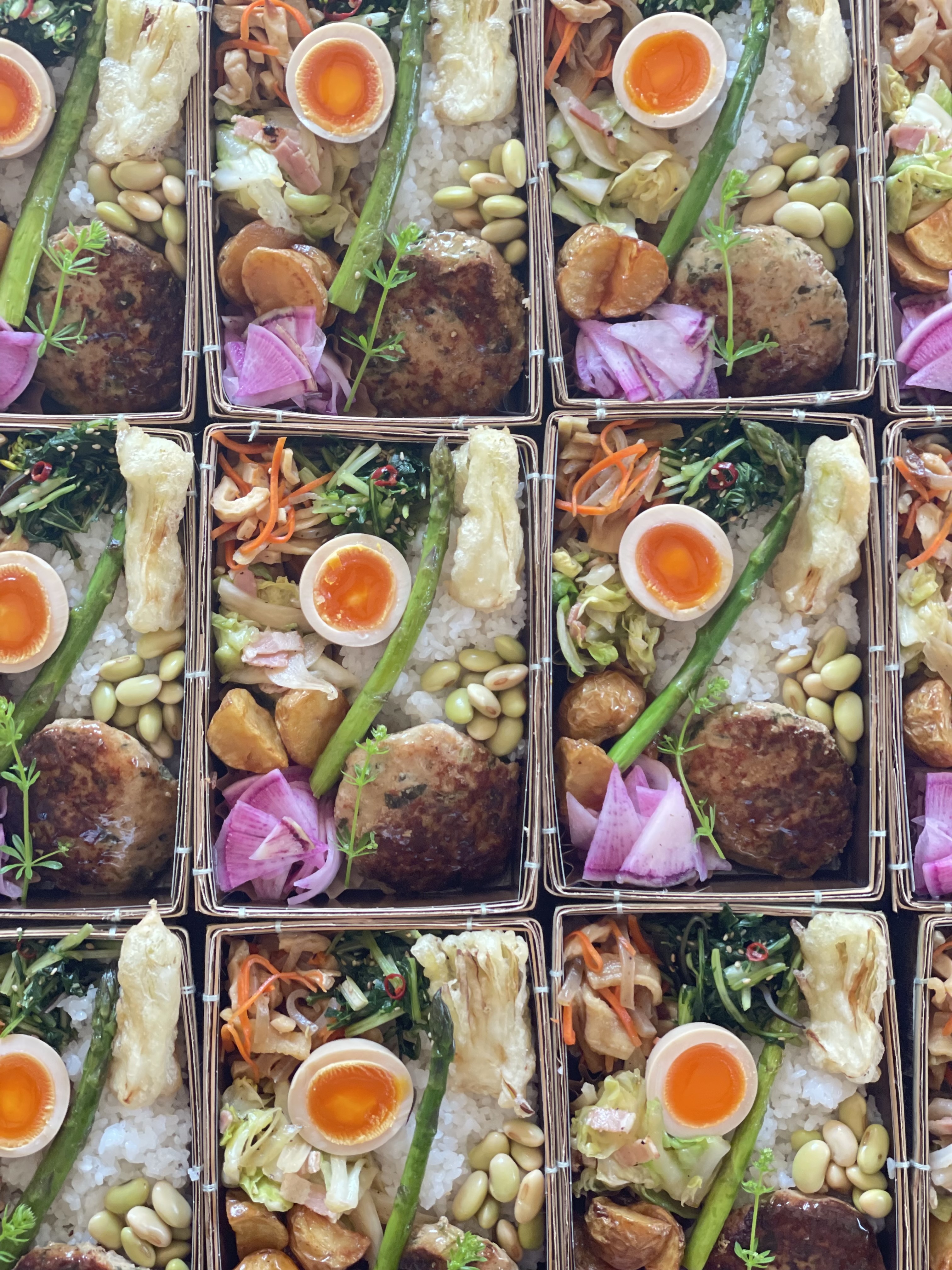 先週末(4/13㊏)のバルヤンナイクのお弁当