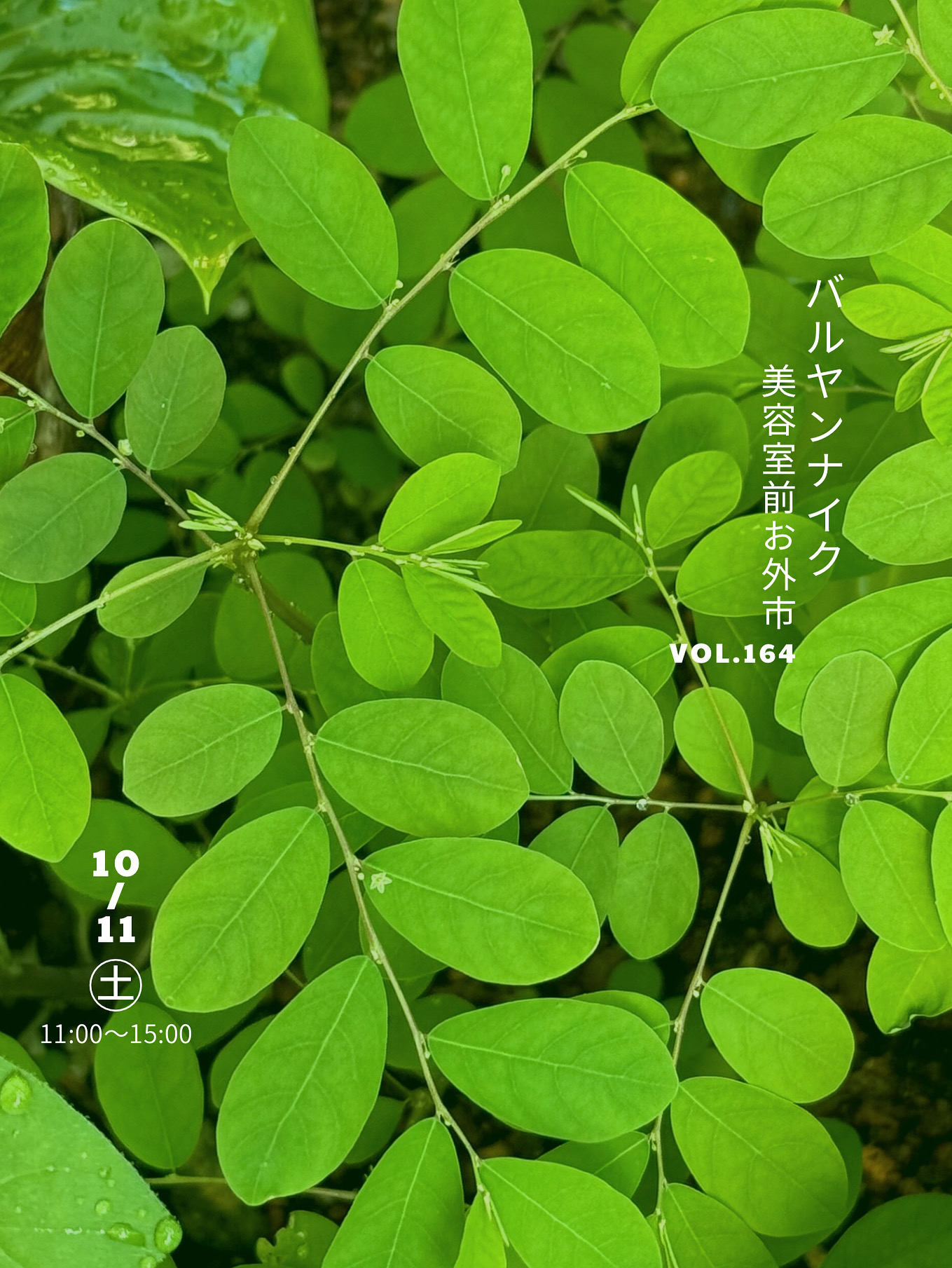 バルヤンナイク美容室前お外市vol.164のご案内