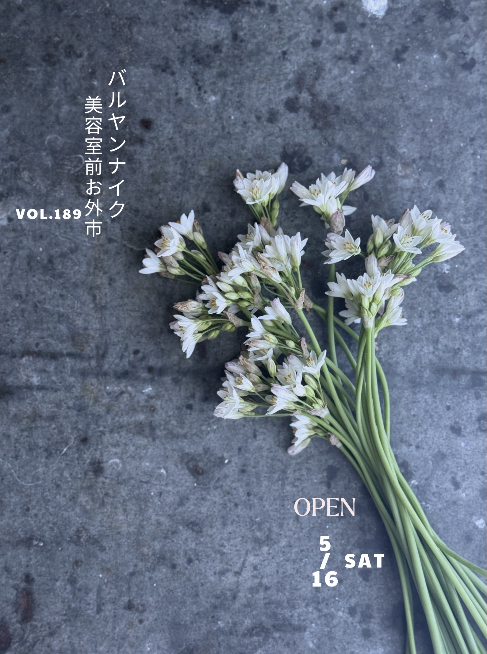 バルヤンナイク美容室前お外市vol.189のご案内