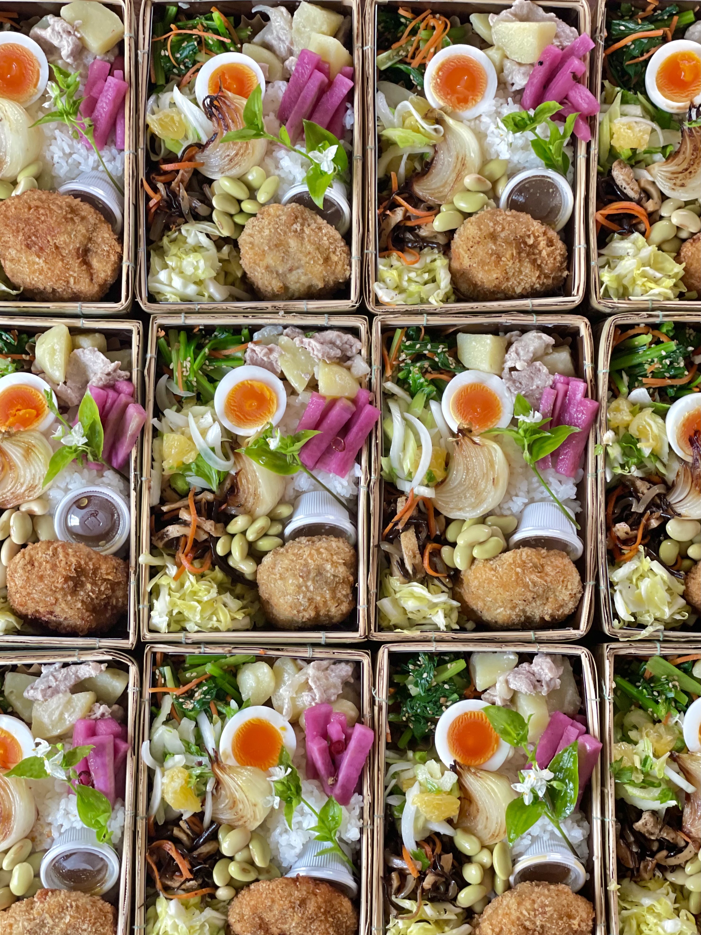 昨日(4/30㊋)のバルヤンナイクのお弁当