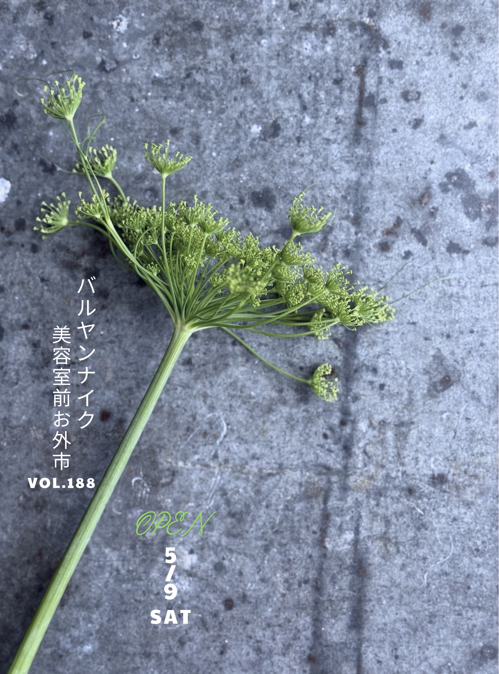 バルヤンナイク美容室前お外市vol.188のご案内