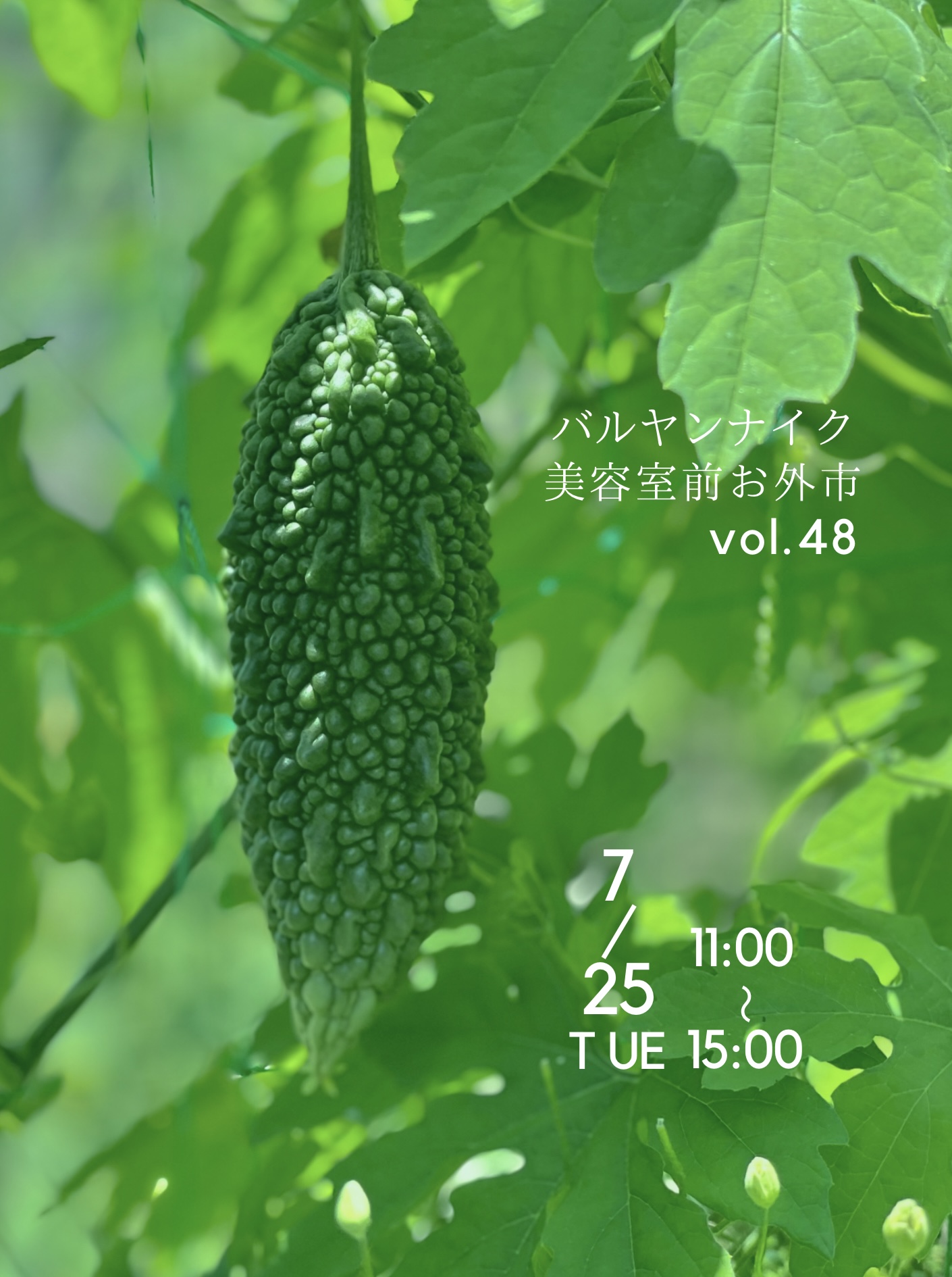 次回のバルヤンナイク美容室前お外市は7/25㊋です！