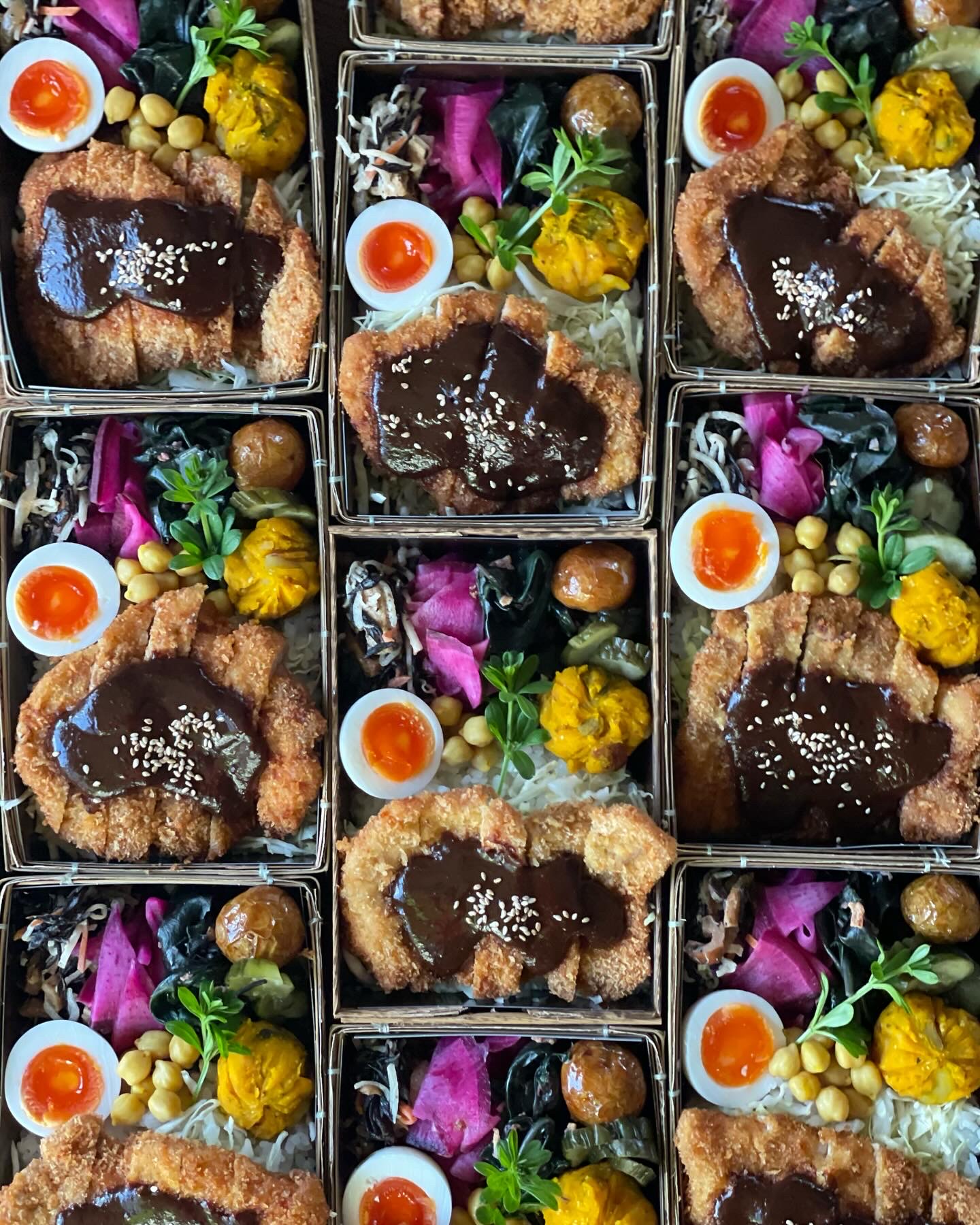 先週末(1/13㊏)のバルヤンナイクのお弁当